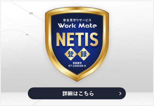 NETIS登録技術